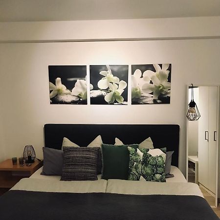 Apartment Dreilandereck Rheinfelden  Exteriér fotografie