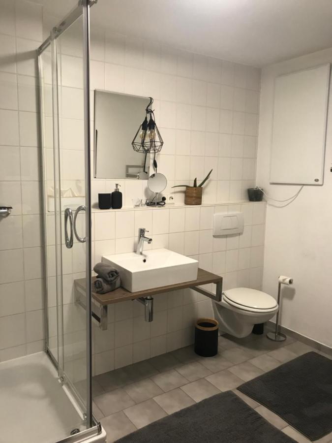 Apartment Dreilandereck Rheinfelden  Exteriér fotografie