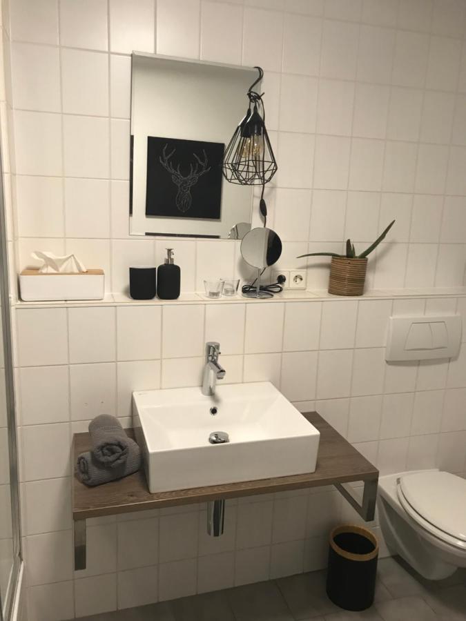 Apartment Dreilandereck Rheinfelden  Exteriér fotografie